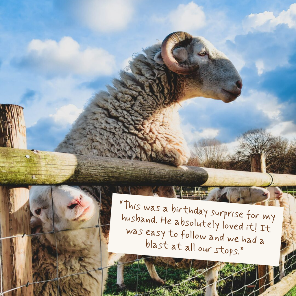 Country Farms & Furry Friends